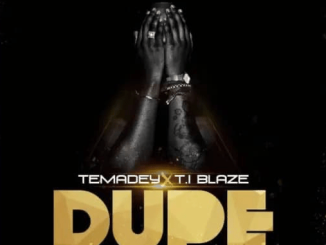 T.I Blaze ft. Temadey