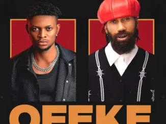 Spyki – Ofeke Remix Ft. Phyno