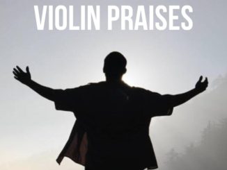 Professional Beat – Violin Combat