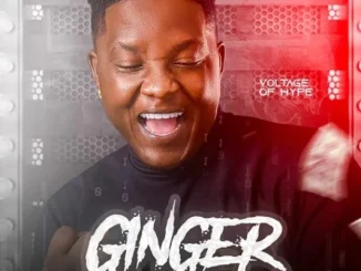 Voltage Of Hype – Ginger (Hype Yourself)