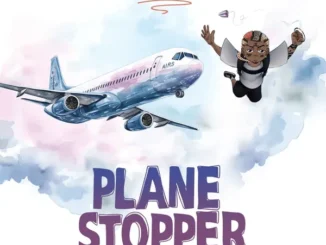 Portable – Plane Stopper
