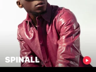 SPINALL - EKO GROOVE Album