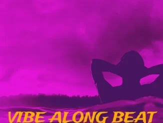 Dj Damlex Soundit – Vibe Along Beat