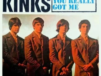 The Kinks – You Really Got Me