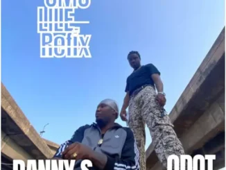 Danny S – Omo Lile (Refix) ft. Q dot