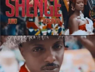 Shenge – Uyazenzela Mp3 Download