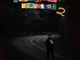 Shazmicsoul – Istradi Sensation 2 EP mp3 downloads