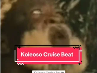 Dj Highness - Koleoso Cruise Dance Beat
