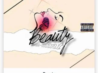 Swiss Mint - Beauty Mp3 Download