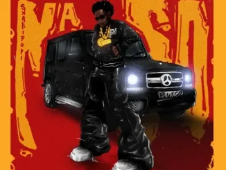 Shallipopi – Na So Mp3 Download