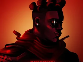 Marleykiddo – Wells Fargo Mp3 Download