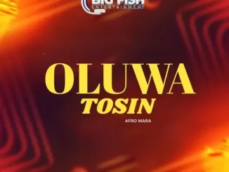 DJ Fish – OluwaTosin (Afro Mara) Mp3 Download