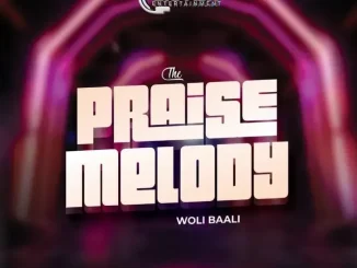 DJ Fish – The Praise Melody (Woli Baali) Mp3 Download