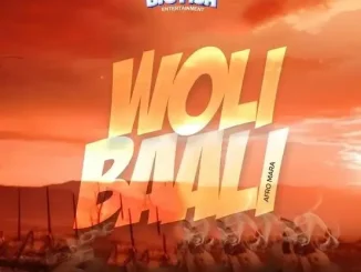 DJ Fish – Woli Baali (Afro Mara) Mp3 Download