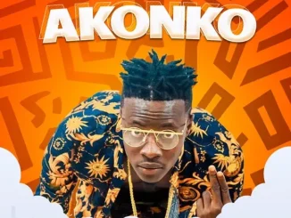 Fancy Gadam – Akonko Mp3 Download