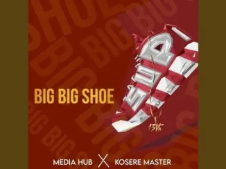 Media hub – Big Big Shoe Mp3 Download