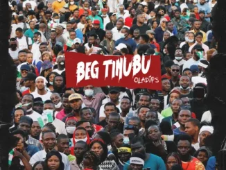 Oladips – Beg Tinubu Mp3 Download