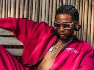 Omah Lay – Successful Mp3 Download