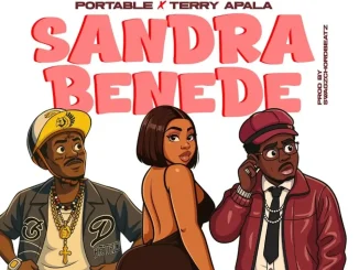 Portable & Terry Apala – Sandra Benede Mp3 Download
