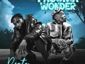 Rento & BhadBoi OML – Pasuma Wonder Mp3 Download
