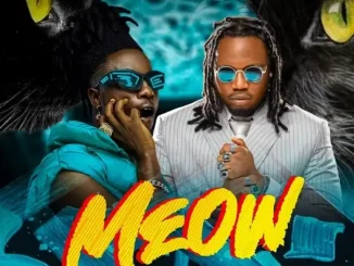 Scope – Meow (Speed Up) ft. Qdot Mp3 Download