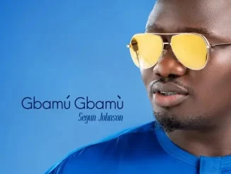 Segun Johnson – Owambe Mp3 Download