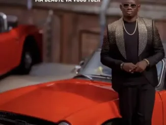 Segun Johnson – Ma Beaute Va Vous Tuer Mp3 Download
