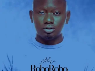 Segun Johnson – Moro Roborobo Moe Download