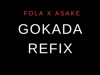 Stereo King DJ MD, FOLA & Asake – Gokada (Refix) Mp3 Download