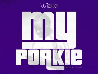 Wizka – My Porkie Mp3 downloads