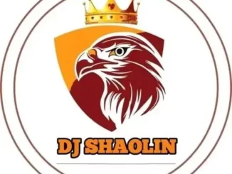DJ Shaolin Temple & Mr Choko – Gbadun Guys Inside Ake Kusimo Mp3 Download
