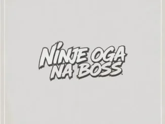 Isa Chairman, Fela 2 & DJ Shaolin Temple – Ninje Oga Na Boss Mp3 Download