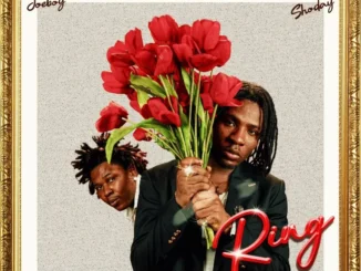 Joeboy & Shoday – Ring Mp3 Download