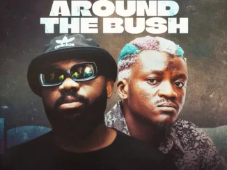 Magnito ft. Portable – Beat Around the Bush MP3 Download