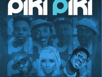 Mustbedubz – Piki Piki (Remix) Ft Lintonto, Skiibii, Xman Rsa, Skales, Soul Barbie, Sgijalo Musiq & Gentle Slope Mp3 Download