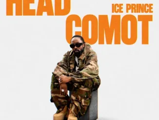 Ice Prince - Head Comot