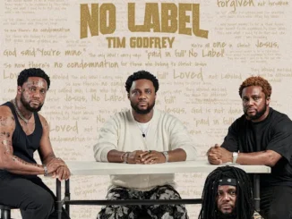 Tim Godfrey - Testimony