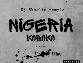 Dj Shaolin – Nigeria Koboko Tiktok Yii Beat Mp3 Download