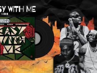 DJ Tunez – Easy With Me Ft. Wizkid & Odumodublvck Mp3 Download
