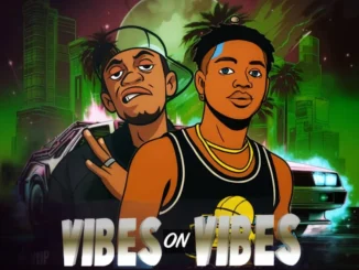 Savitozzy – Vibes On Vibes Ft. Zillions Don Dada Mp3 Download