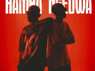 TitoM, Yuppe & Ceehle – Hamba Ngedwa feat. JayJayy Mp3 Download