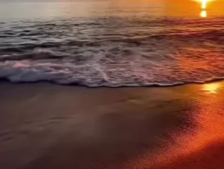 Soft Postive Vibes – Believe in Yourself Mp3 Download