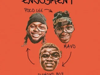 Poco Lee - ENJOYMENT