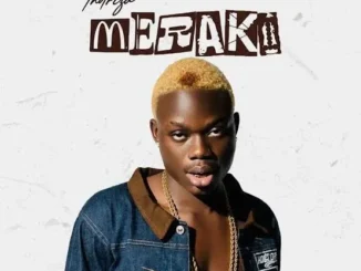 Indriza – MEKARI (Album) Mp3 Download