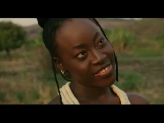 NASHIE ZIM – APA Mp3 Download