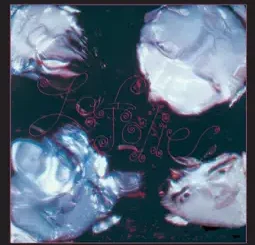 The Stranglers – Golden Brown Mp3 downloads