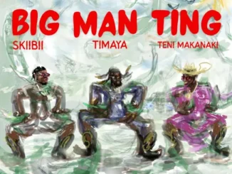 Timaya - BIG MAN TING