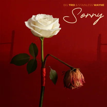 Big Trei and Stainless Wayne – Sorry Mp3 Download