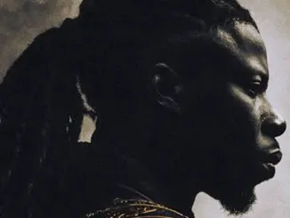 Stonebwoy – Silent Samurai Mp3 Download