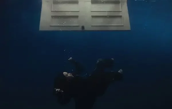 Billie Eilish – WildFlower Mp3 Download